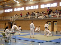 /album/bambu-deportivo/dscn2155-jpg/