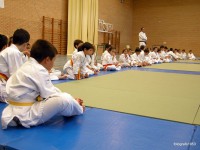 /album/bambu-deportivo/dscn2170-jpg/